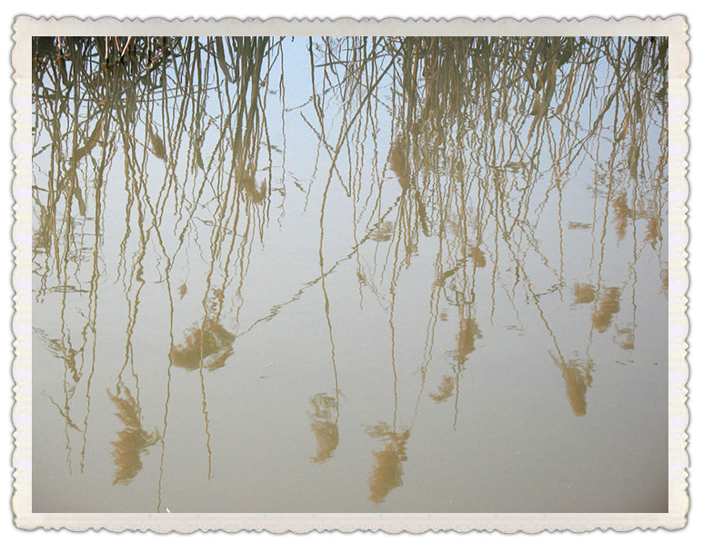 2013冬。...jpg