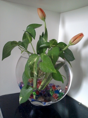 2013-02-09 10.50.45.jpg
