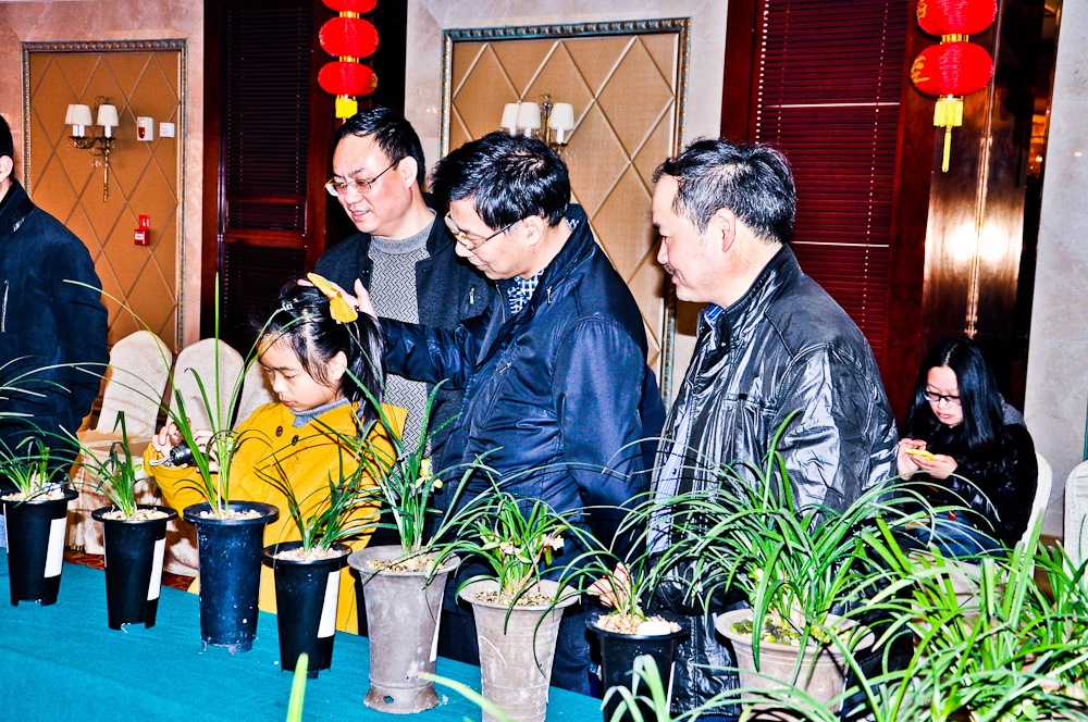 未命名-43.jpg