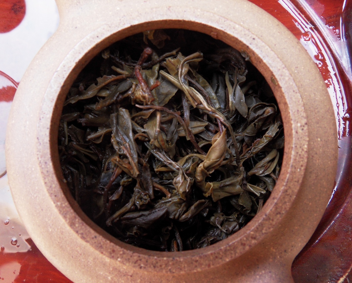 茶底.jpg