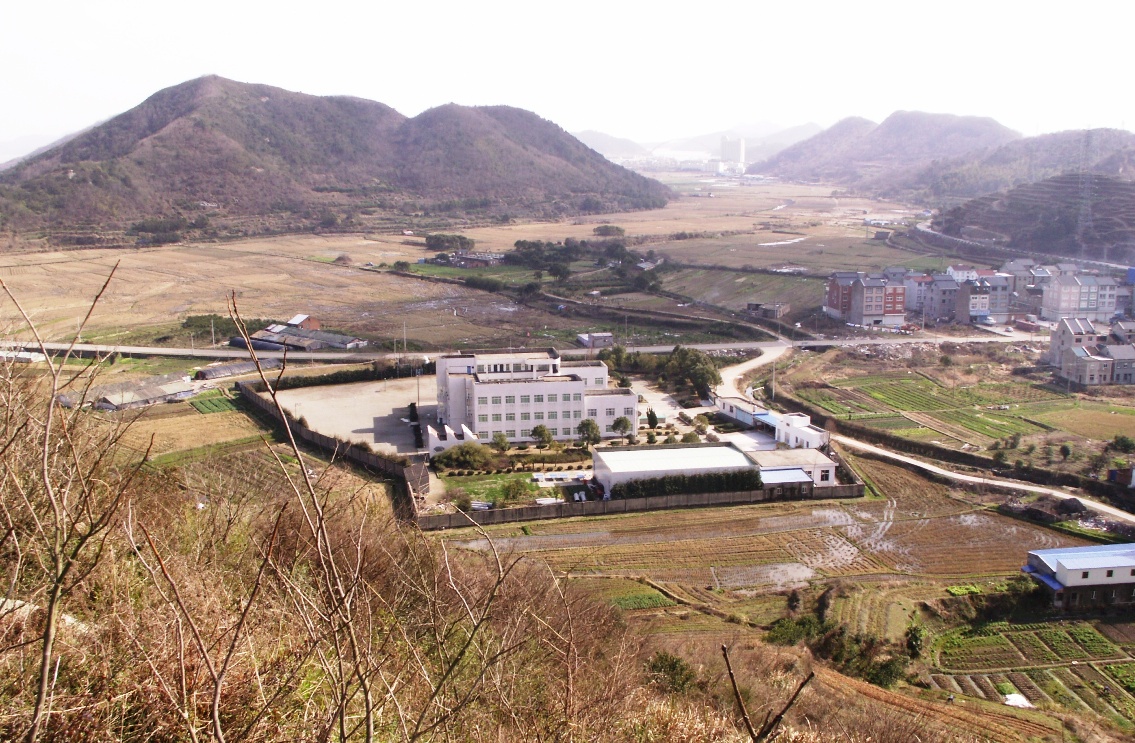 PICT0826.JPG