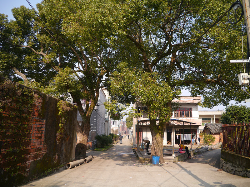 P1090638_副本.jpg