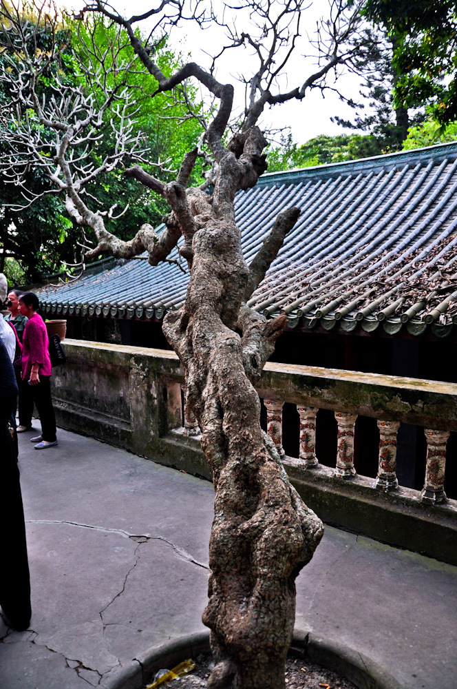 DSC_0164.JPG