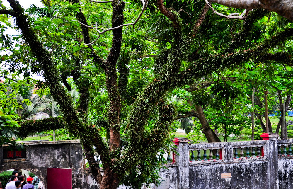 DSC_0167.JPG