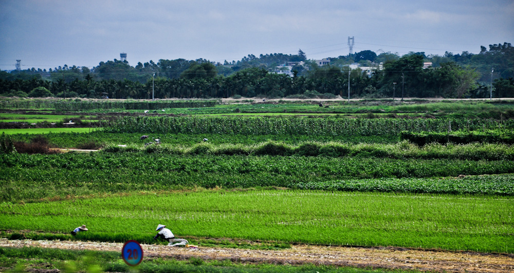 DSC_0197.JPG