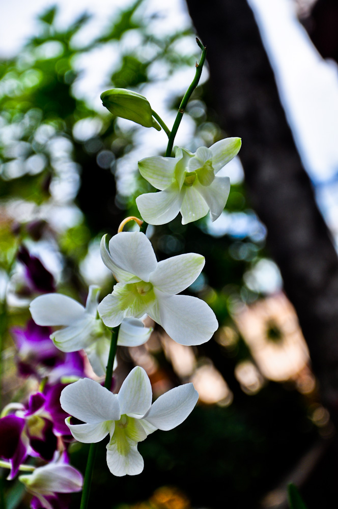 DSC_0391-2.JPG