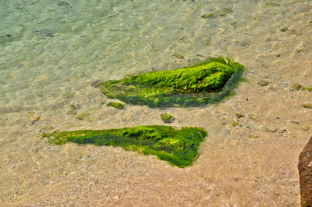 DSC_0504-2.JPG
