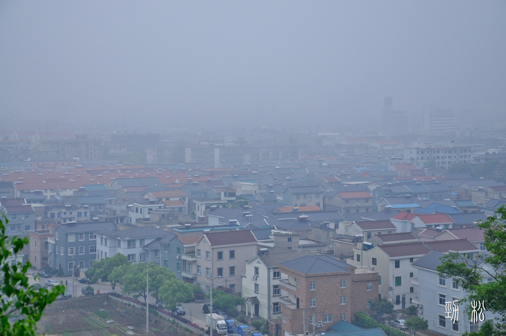 DSC_0017.jpg