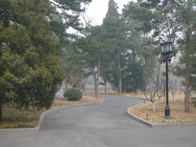 P1100510.JPG