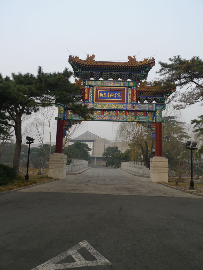 P1100588.JPG