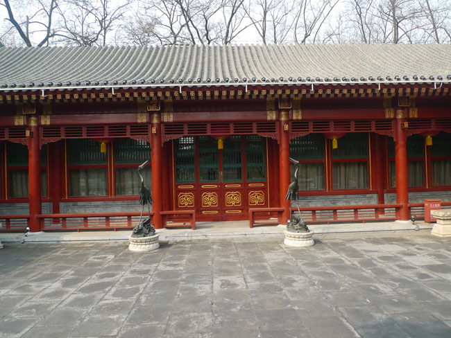 P1100642.JPG