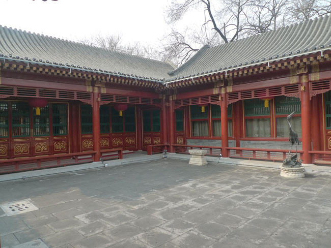 P1100643.JPG