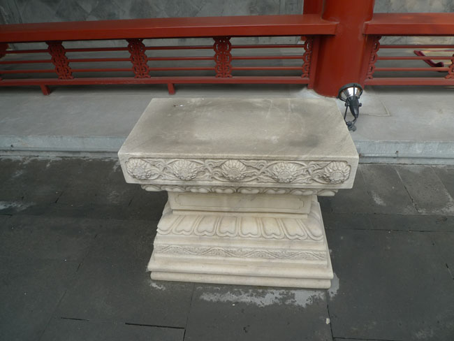 P1100645.JPG