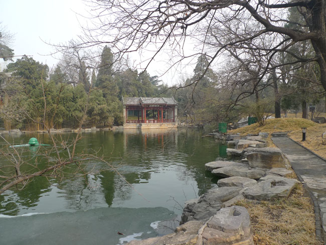 P1100669.JPG