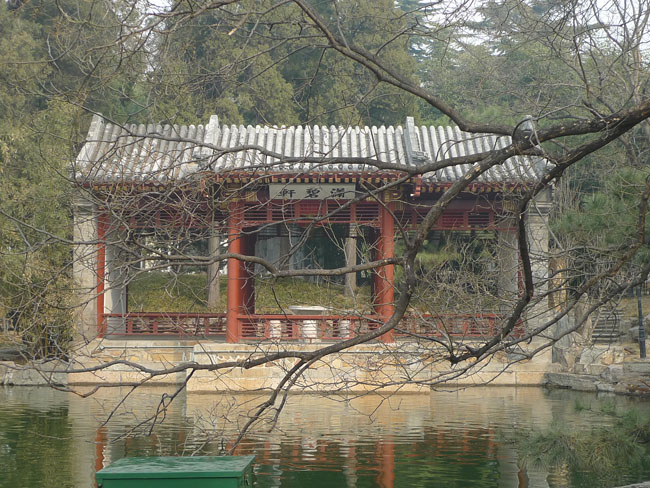 P1100671.JPG