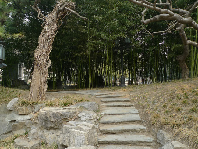 P1100677.JPG