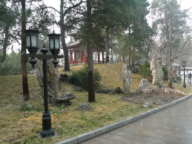 P1100681.JPG