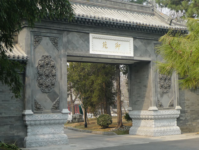 P1100686.JPG