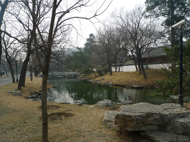 P1100689.JPG