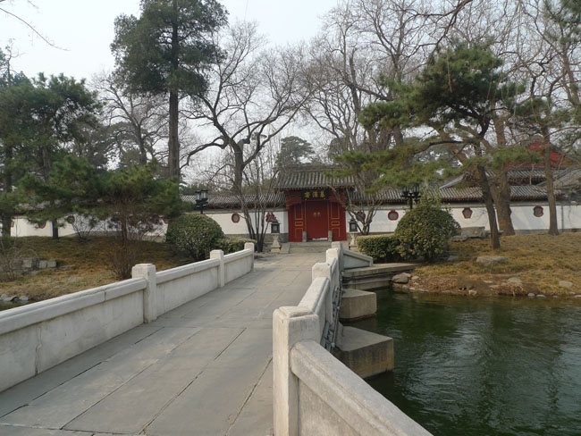 P1100690.JPG