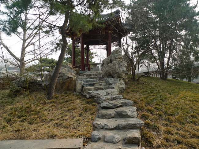 P1100715.JPG