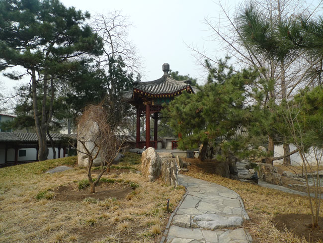 P1100720.JPG