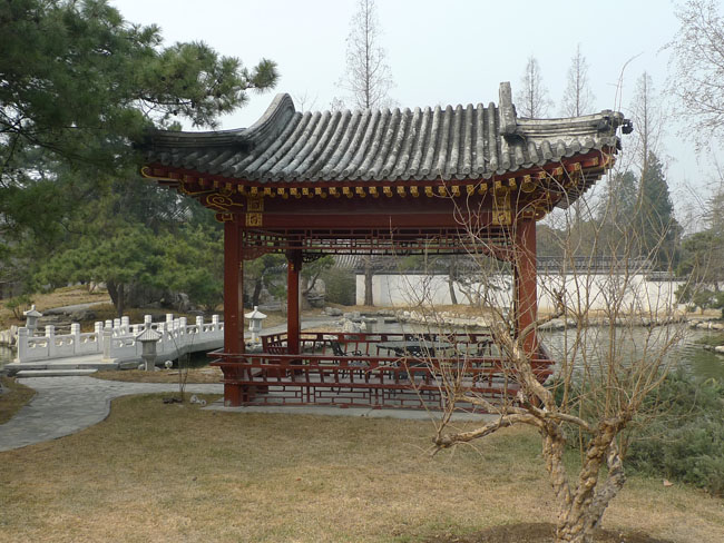 P1100727.JPG