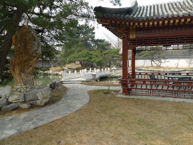 P1100729.JPG