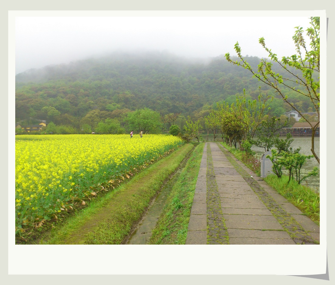 DSC_2373 - 副本.JPG