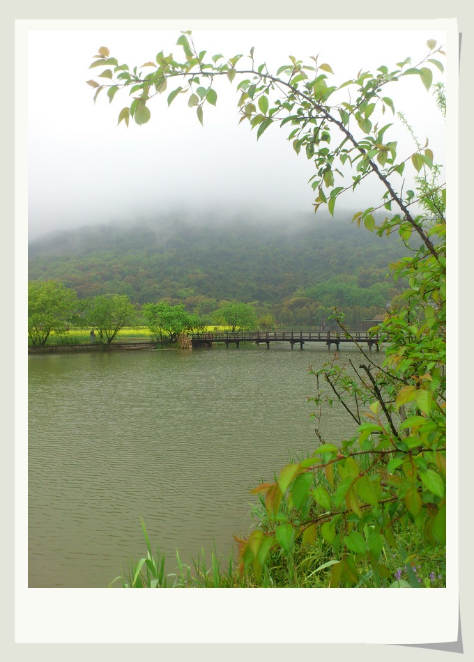 DSC_2359 - 副本.JPG