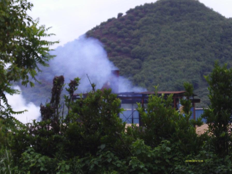 IMAG0275.JPG
