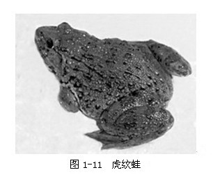 1-11.jpg