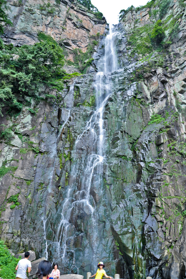 DSC_0337.jpg