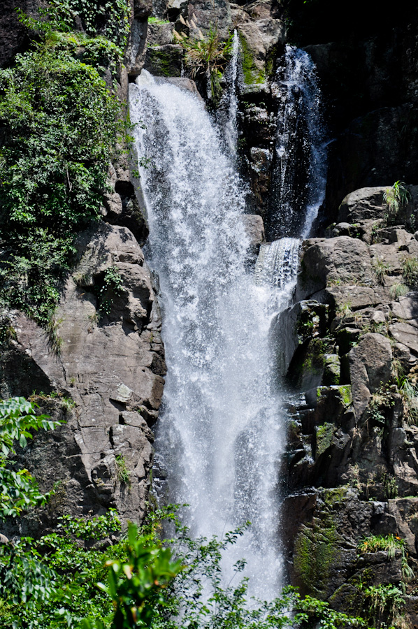 DSC_0208.jpg