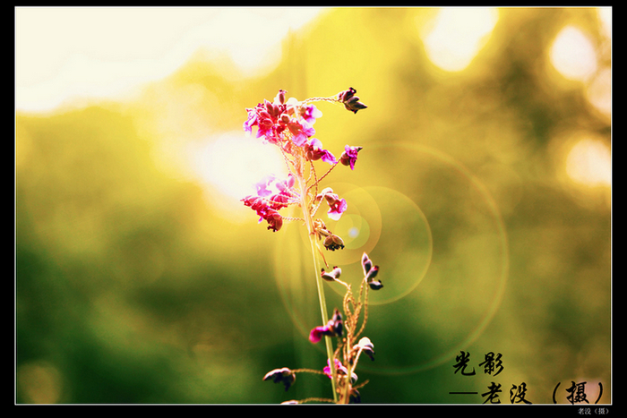 光影（小）.jpg