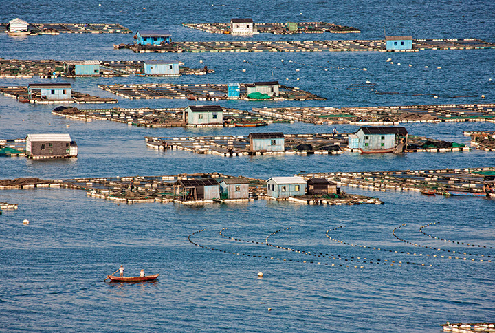 海岸养殖.jpg