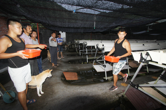201308222239351.jpg