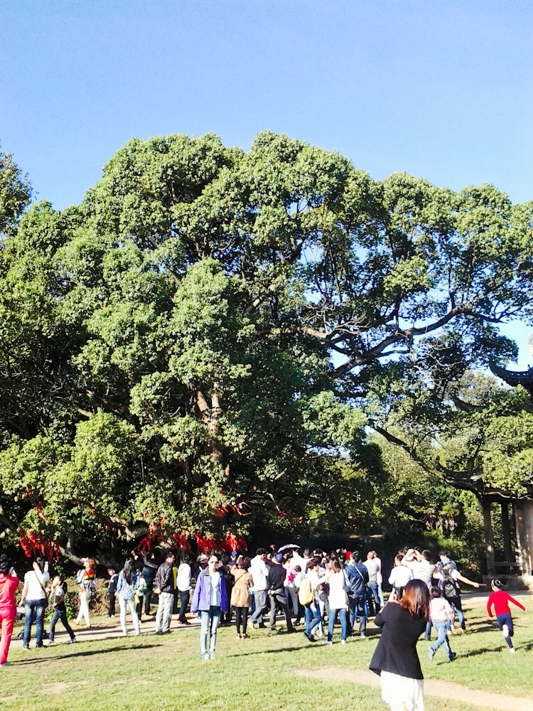 20131003_080917.jpg