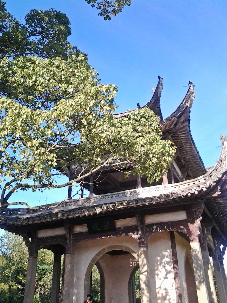 20131003_081019.jpg