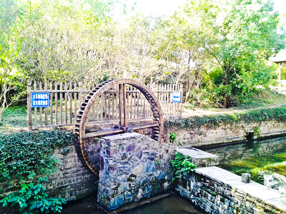 20131003_082404.jpg