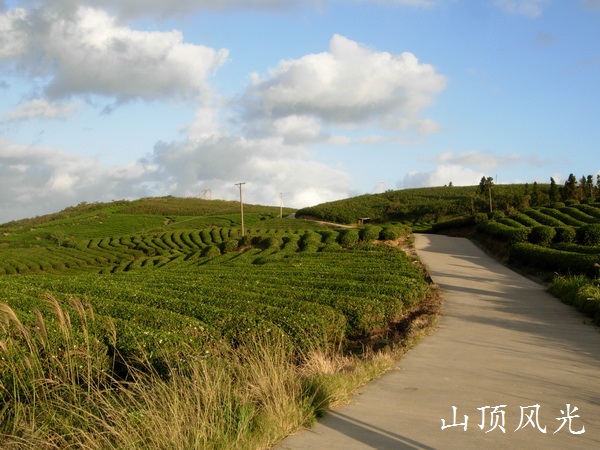 DSCN4541.JPG