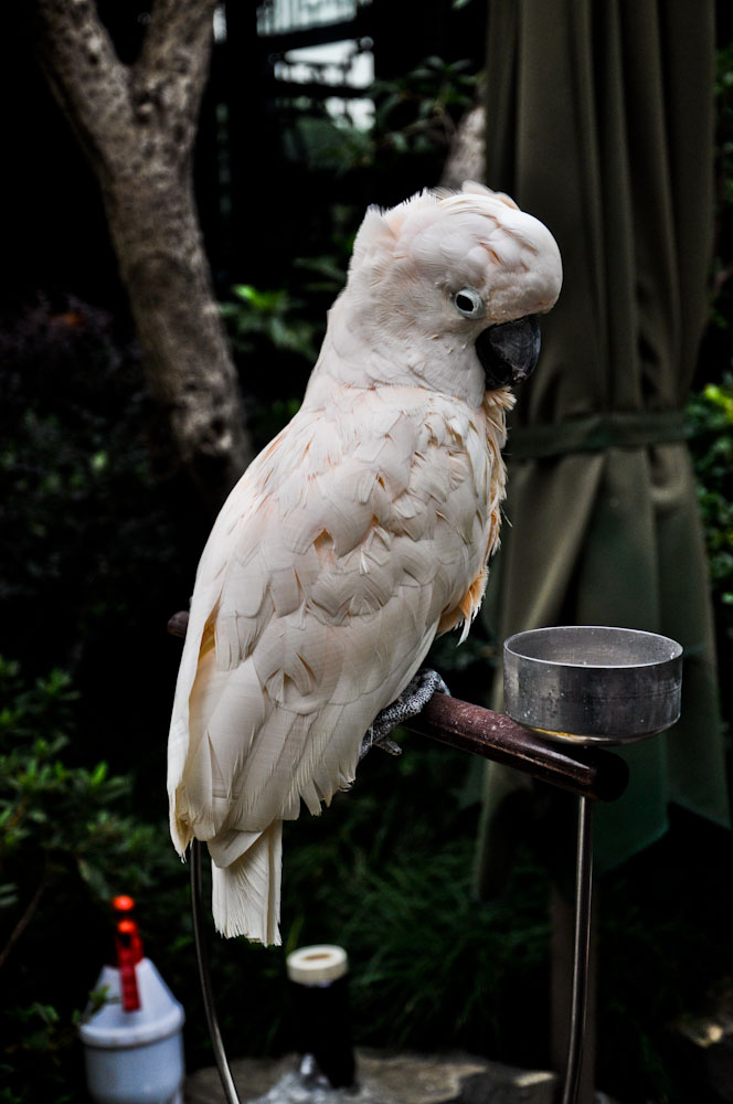 DSC_0237.jpg