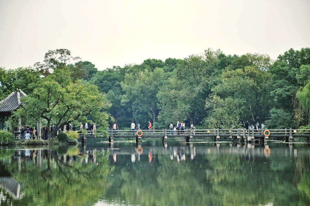 DSC_0291.jpg