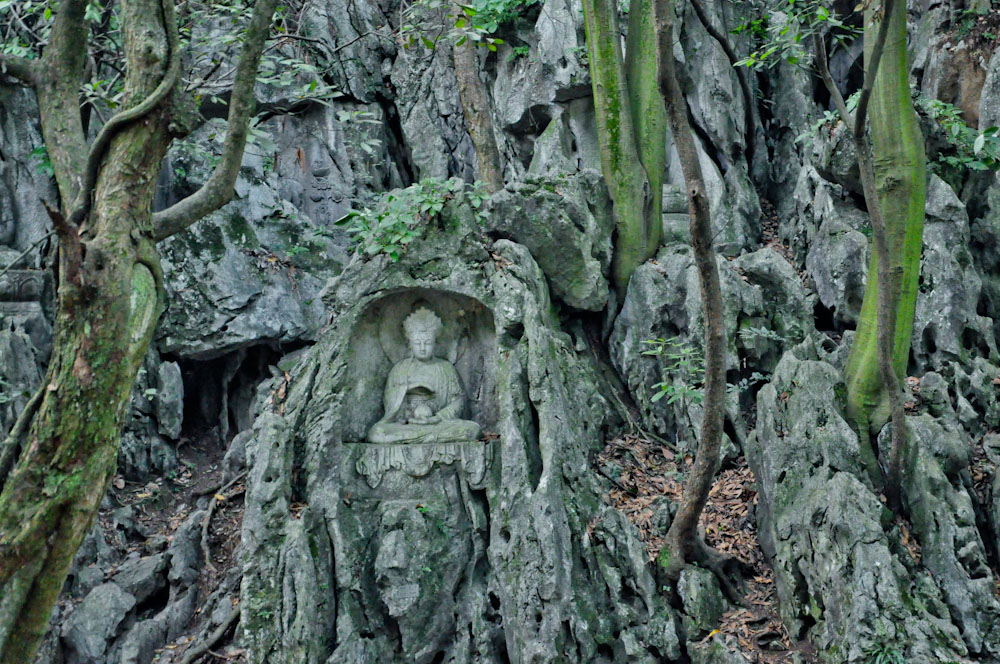 DSC_0402.jpg