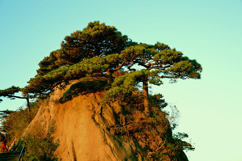 照片 194.jpg
