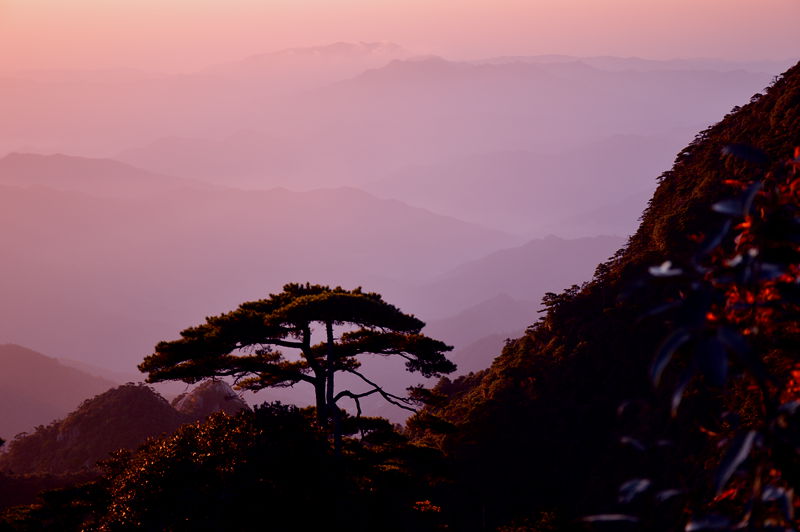 照片 197.jpg