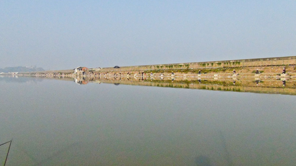 DSC01504.jpg