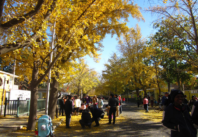 IMG_8412.JPG