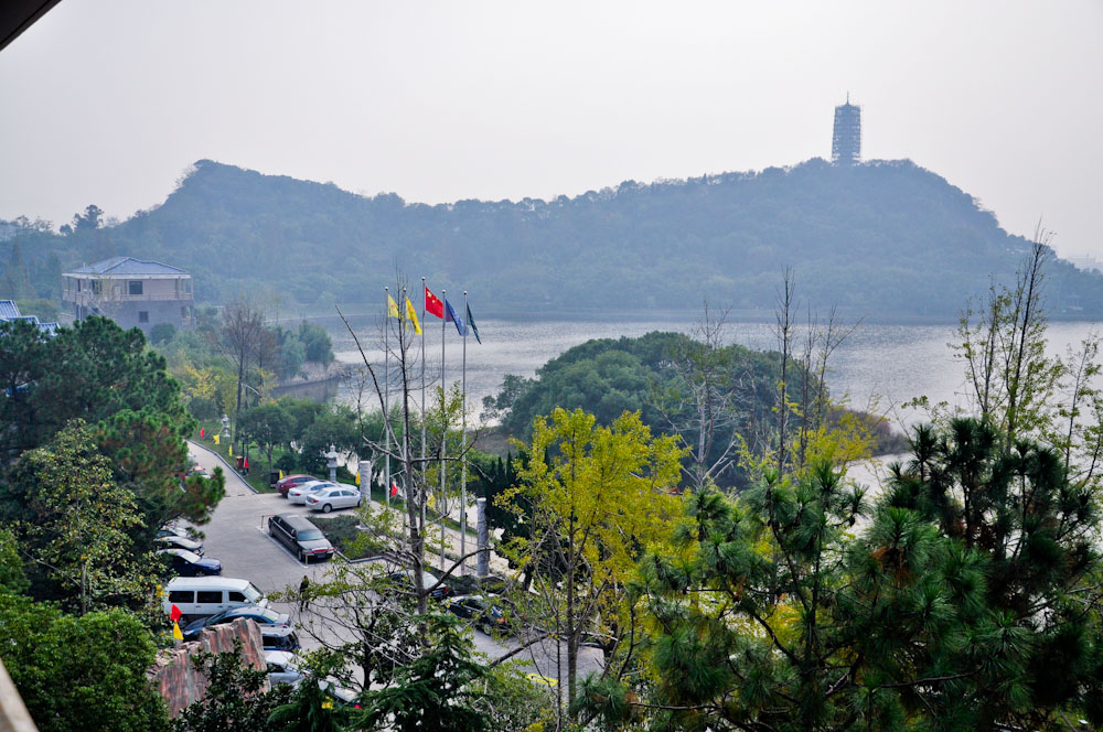 DSC_0037.jpg