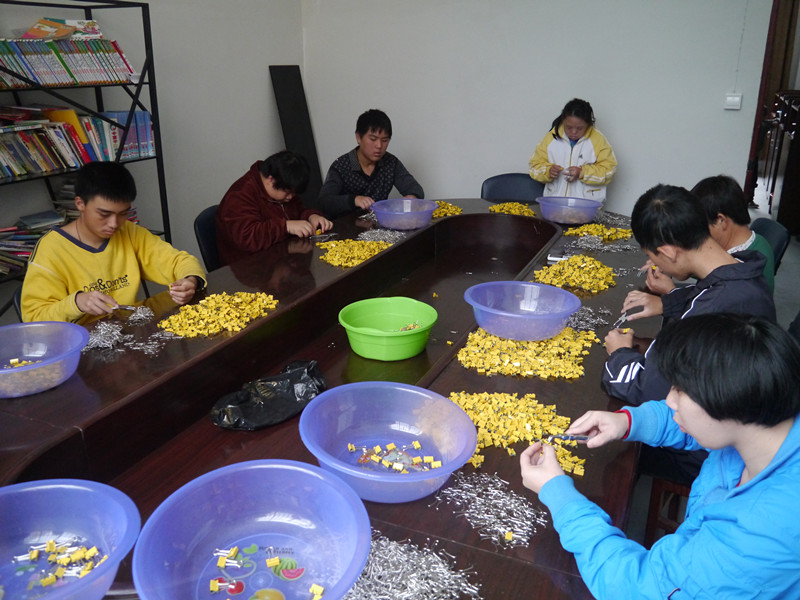 让智障孩子“自食其力”_副本.jpg